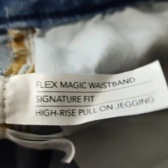 Lane Bryant Signature Fit High Rise Denim Jeggings Size 22 - Picture 4 of 5